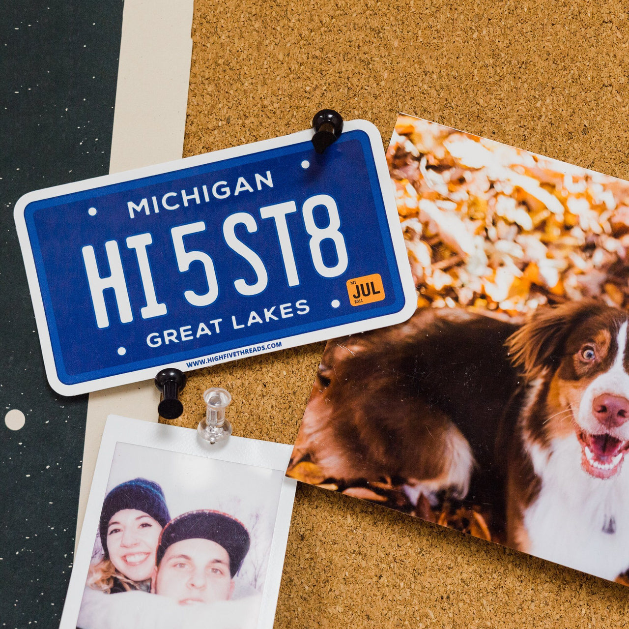 License Plate Sticker